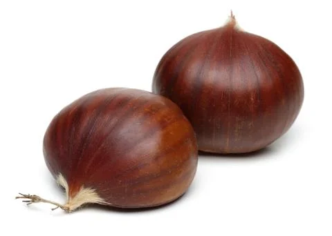 Chestnuts isolated on white background Stock Photos