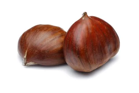 Chestnuts isolated on white background Stock Photos