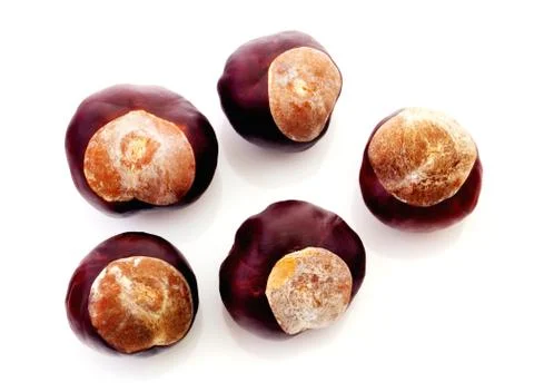 Chestnuts isolated on white Stock Photos