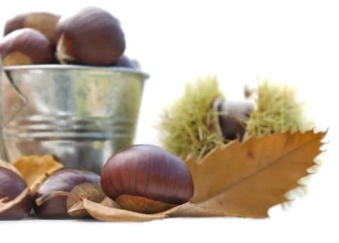 Chestnuts on a leaf Stock Photos