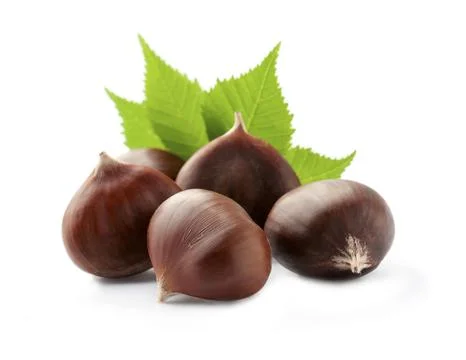 Chestnuts with leafs Stock Photos