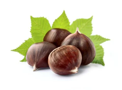 Chestnuts with leaves Stock Photos