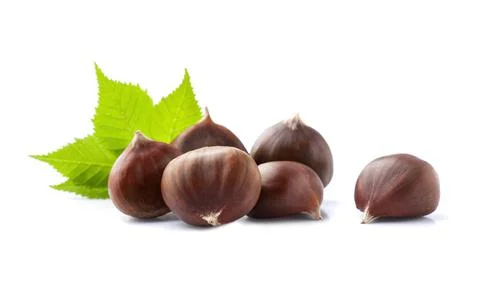 Chestnuts with leaves Stock Photos