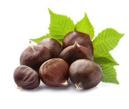 Chestnuts with leaves Stock Photos