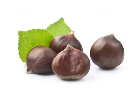 Chestnuts with leaves Stock Photos