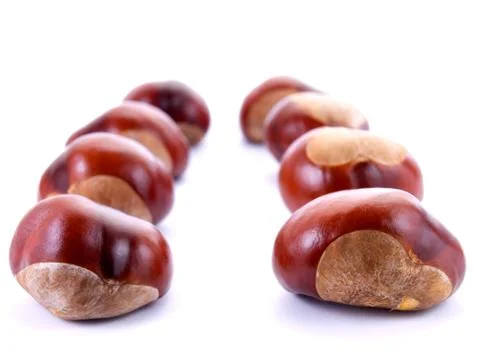 Chestnuts lines Stock Photos