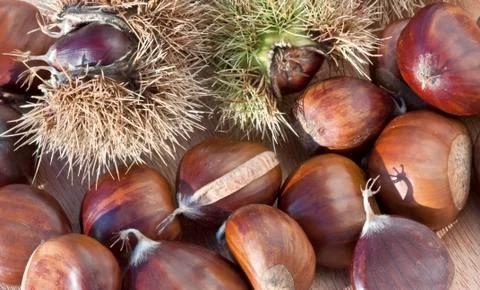 Chestnuts Stock Photos