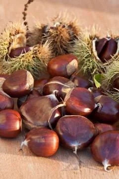 Chestnuts Stock Photos