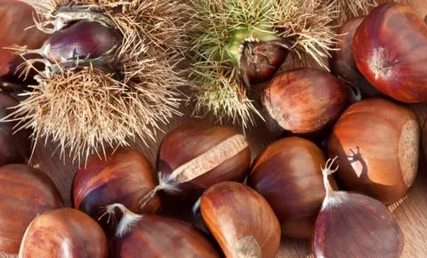 Chestnuts Stock Photos