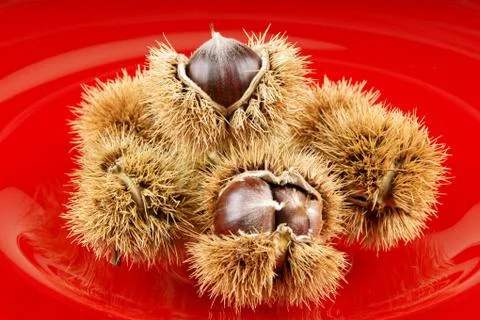 Chestnuts Foto stock