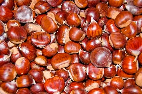 Chestnuts Stock Photos