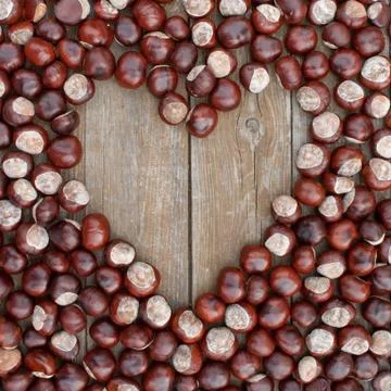 Chestnuts Stock Photos