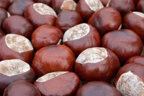 Chestnuts Stock Photos