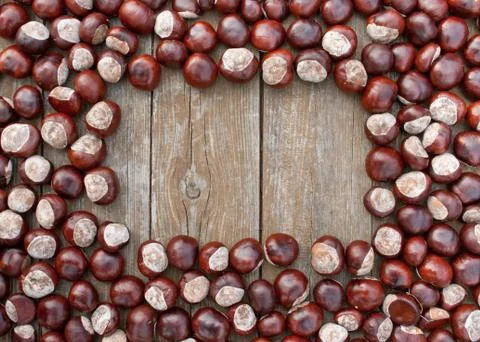 Chestnuts Stock Photos