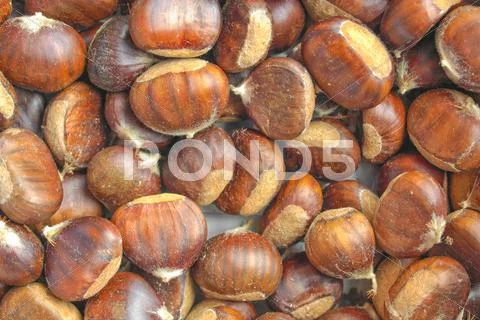 Chestnuts Stock Photos