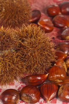 Chestnuts Stock Photos