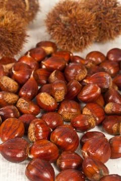 Chestnuts Stock Photos