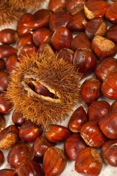 Chestnuts Stock Photos