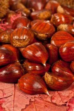 Chestnuts Stock Photos