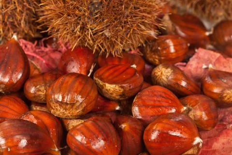 Chestnuts Stock Photos
