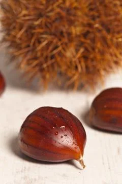 Chestnuts Stock Photos