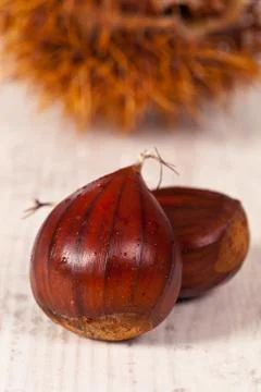 Chestnuts Stock Photos