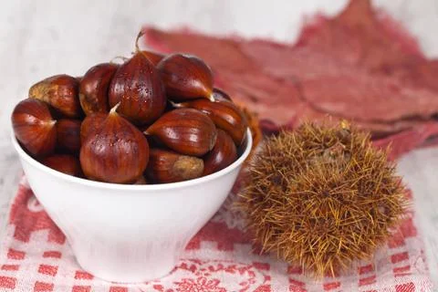 Chestnuts Stock Photos
