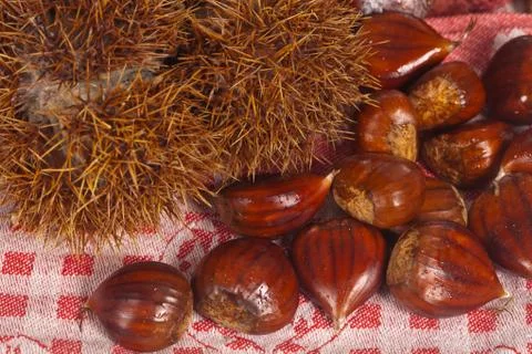 Chestnuts Stock Photos