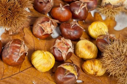 Chestnuts Stock Photos