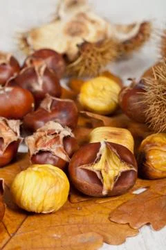 Chestnuts Stock Photos