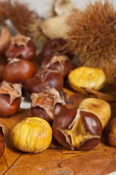 Chestnuts Stock Photos