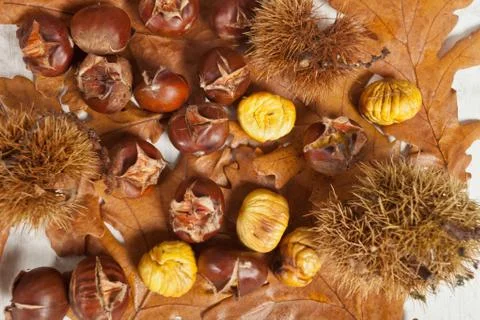 Chestnuts Stock Photos