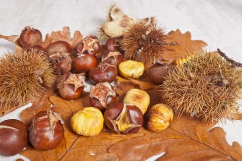 Chestnuts Stock Photos