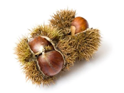 Chestnuts Stock Photos