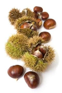 Chestnuts Stock Photos