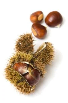 Chestnuts Stock Photos