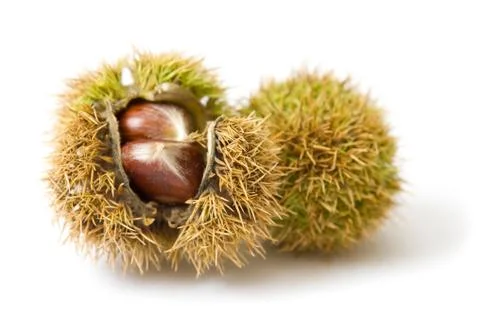 Chestnuts Stock Photos