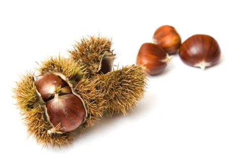 Chestnuts Foto stock