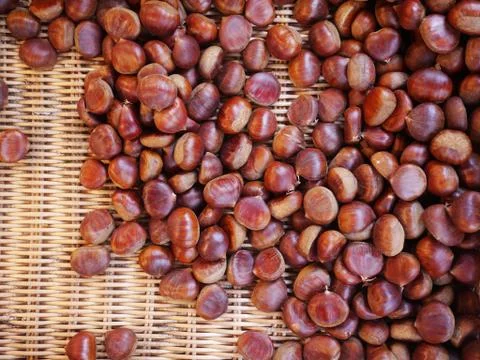 Chestnuts Stock Photos