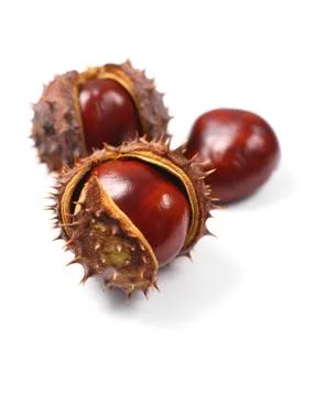 Chestnuts Stock Photos