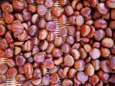Chestnuts Stock Photos