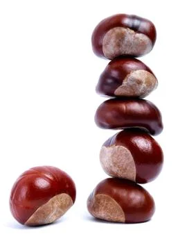 Chestnuts Stock Photos