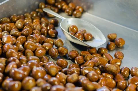 Chestnuts Stock Photos