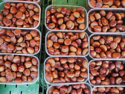 Chestnuts Stock Photos