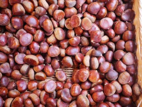 Chestnuts Stock Photos