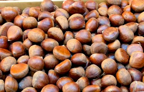 Chestnuts Foto stock