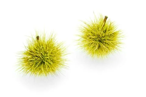 Chestnuts Stock Photos