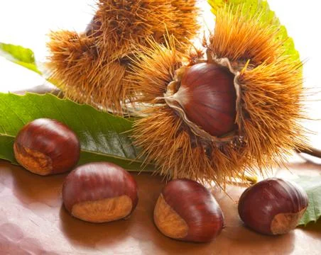 Chestnuts Stock Photos