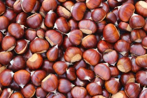 Chestnuts Stock Photos
