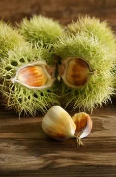 Chestnuts Stock Photos